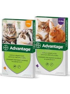   Advantage macskáknak 4-8kg - rácseppentő oldat bolhák ellen (0,8ml)