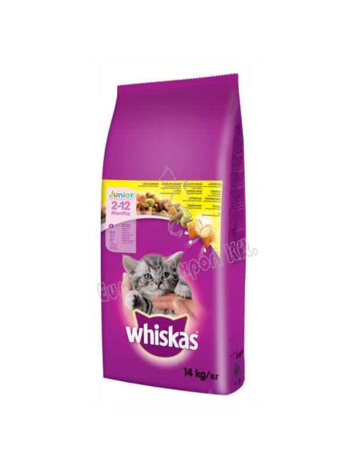 Whiskas Junior száraztáp kiscicák és anyamacskák számára 14kg