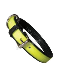 JK9 LUMINO NYAKÖRV 45CM