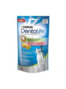 PURINA DENTALIFE MACSKA 40G LAZAC
