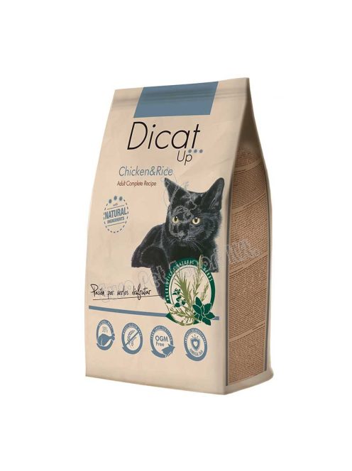 Dicat Up CAT CHICKEN-RICE 14 KG CSIRKE-RIZS